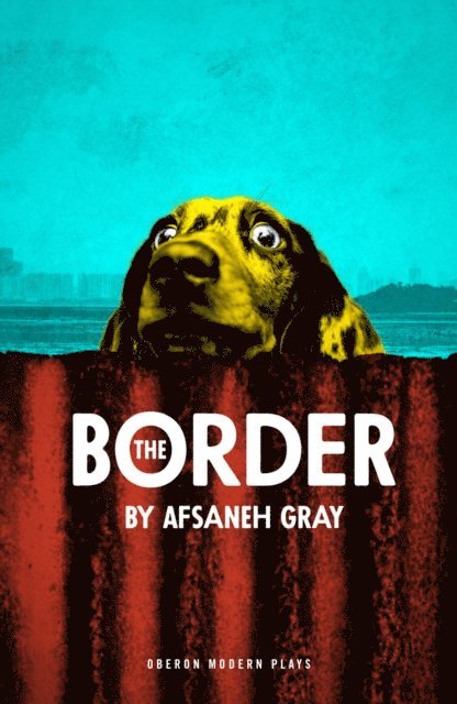 Afsaneh Gray - Border, E-bok