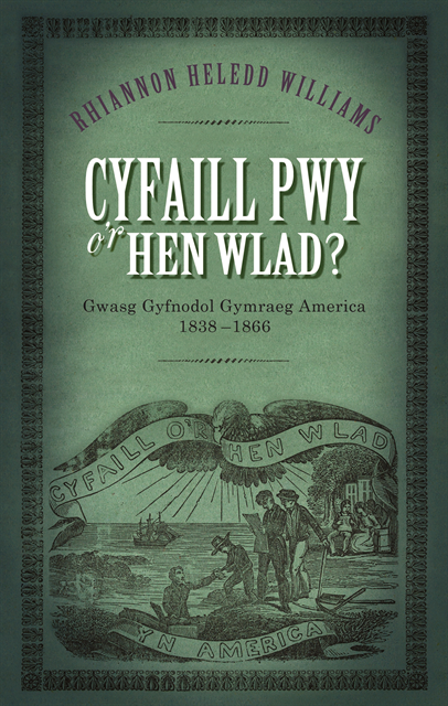 Rhiannon Heledd Williams - Cyfaill Pwy o'r Hen Wlad?, E-bok