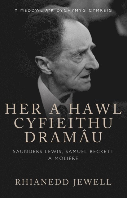 Rhianedd Jewell - Her a Hawl Cyfieithu Dramâu, E-bok