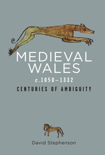 David Stephenson - Medieval Wales c.1050-1332, E-bok