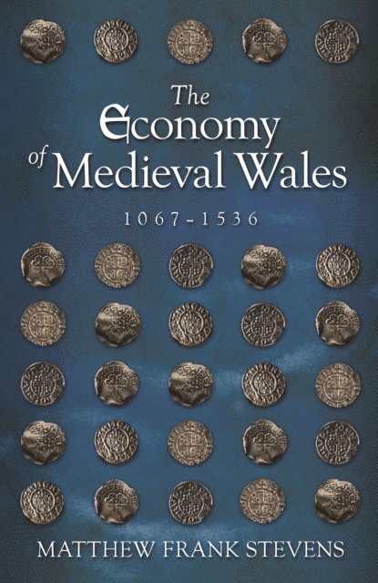 Matthew Frank Stevens - Economy of Medieval Wales, 1067-1536, E-bok