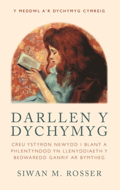Siwan M. Rosser - Darllen y Dychymyg, E-bok