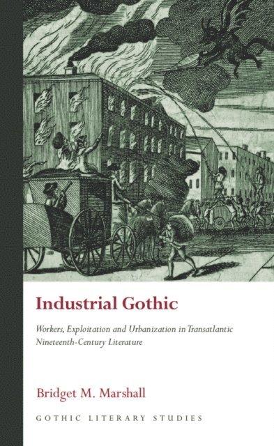 Bridget M. Marshall - Industrial Gothic, E-bok