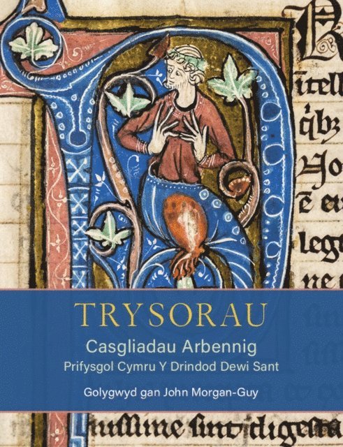 John Morgan-Guy - Trysorau: Casgliadau Arbennig Prifysgol Cymru Y Drindod Dewi Sant, E-bok