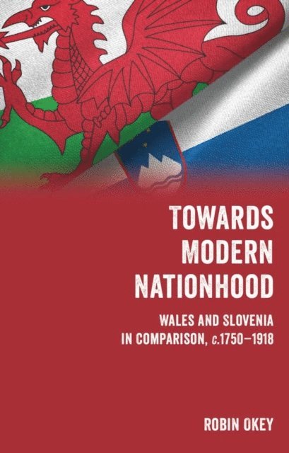 Robin Okey - Towards Modern Nationhood, E-bok