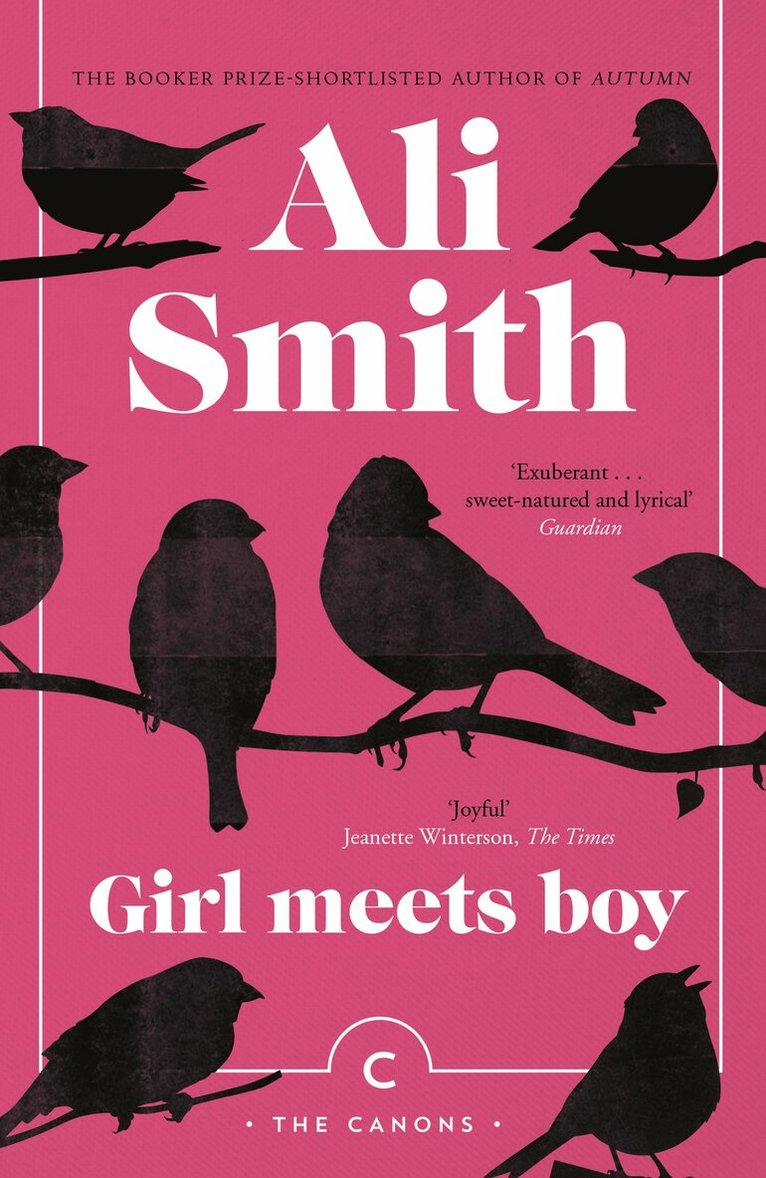 Ali Smith - Girl Meets Boy, Häftad
