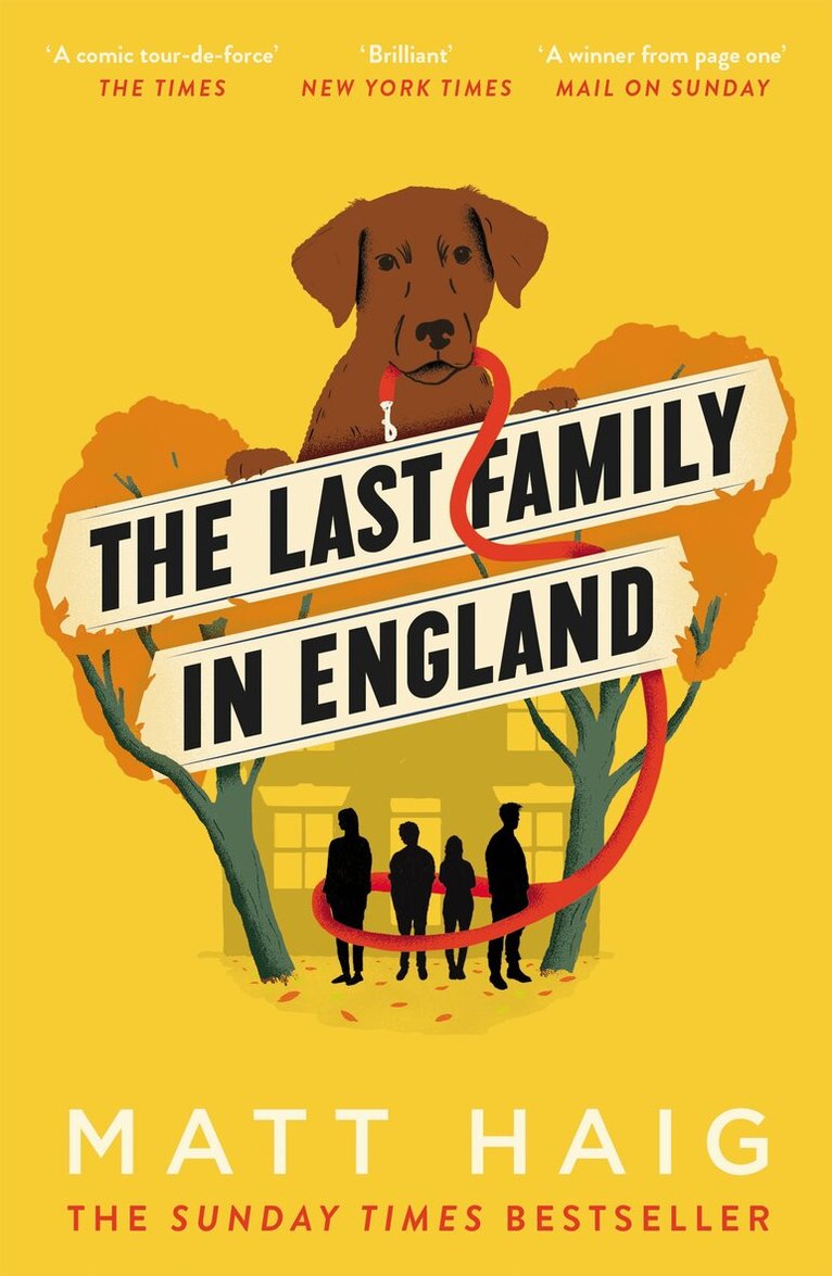 Matt Haig - Last Family in England, Häftad