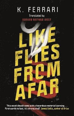 K. Ferrari - Like Flies from Afar, Häftad