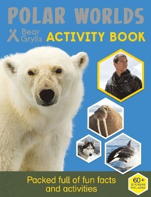 Bear Grylls - Bear Grylls Sticker Activity: Polar Worlds, Häftad