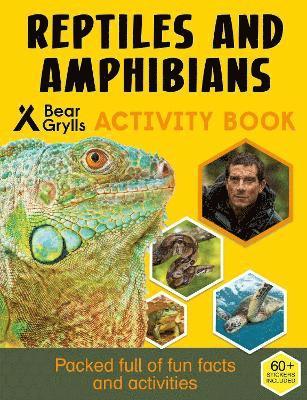 Bear Grylls - Bear Grylls Sticker Activity: Reptiles & Amphibians, Häftad
