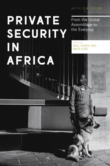 Doctor Paul Higate, Mats Utas - Private Security in Africa, E-bok