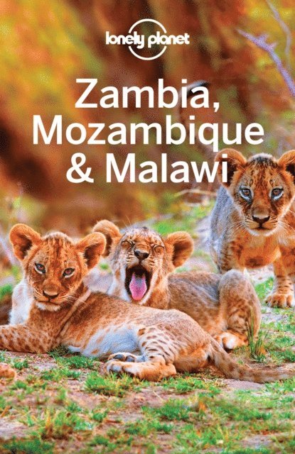Brendan Sainsbury, Trent Holden, James Bainbridge, Mary Fitzpatrick - Lonely Planet Zambia, Mozambique & Malawi, E-bok