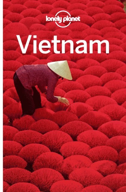 Phillip Tang, Nick Ray, David Eimer, Austin Bush, Brett Atkinson, Iain Stewart - Lonely Planet Vietnam, E-bok