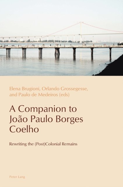 de Medeiros Paulo de Medeiros, Grossegesse Orlando Grossegesse, Brugioni Elena Brugioni - Companion to Joao Paulo Borges Coelho, E-bok