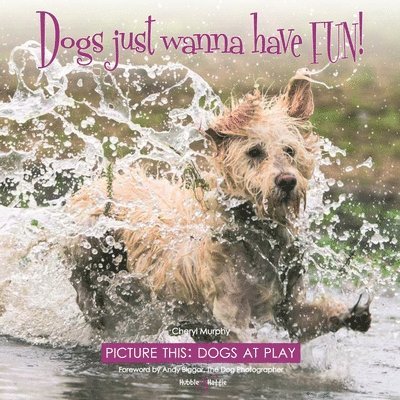 Cheryl Murphy - Dogs Just Wanna Have Fun!, Inbunden