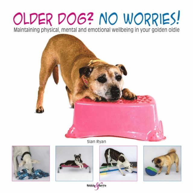Sian Ryan - Older dog? No worries!, E-bok