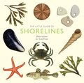 Little Guide to Shorelines
