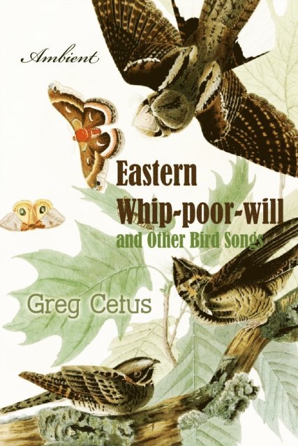 Cetus,Greg - Eastern Whip-poor-will and Other Bird Songs, Ljudbok