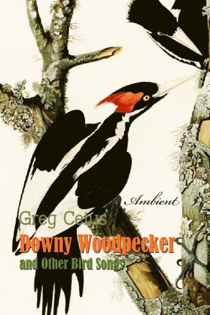 Cetus,Greg - Downy Woodpecker and Other Bird Songs, Ljudbok