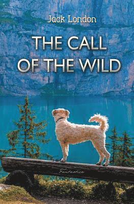 Jack London - Call of the Wild, Häftad