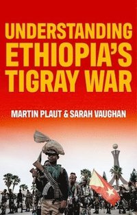 Understanding Ethiopia's Tigray War