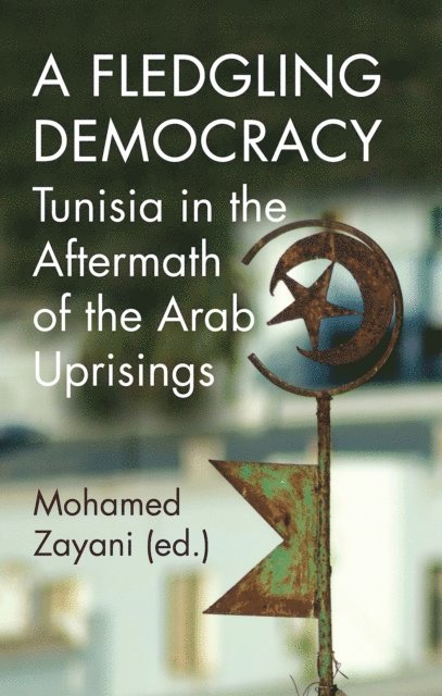 Mohamed Zayani - Fledgling Democracy, E-bok