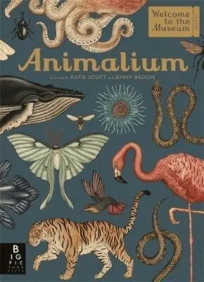 Jenny Broom - Animalium, Inbunden