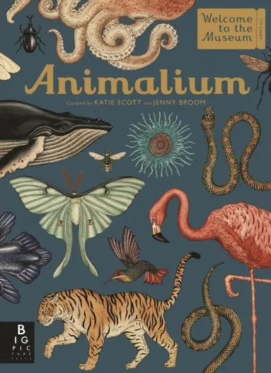 Jenny Broom - Animalium, E-bok