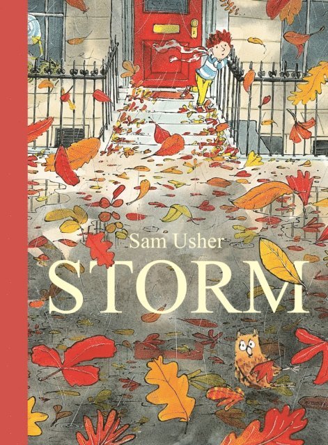 Sam Usher - Storm, E-bok