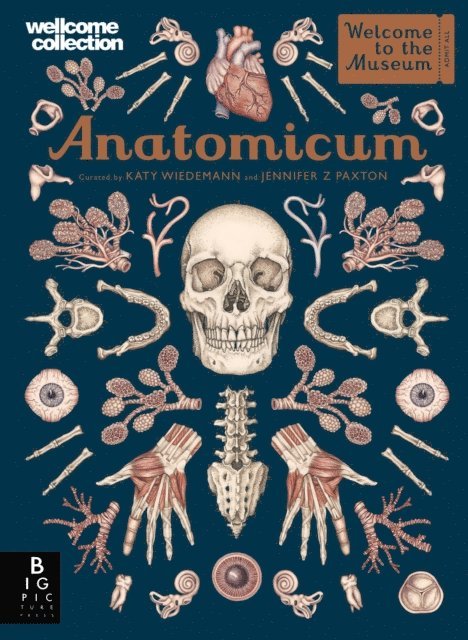 Jennifer Z Paxton - Anatomicum, E-bok