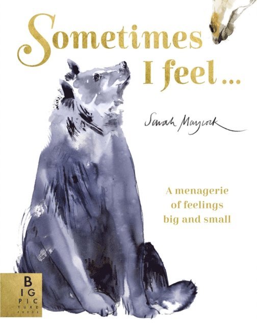 Sarah Maycock - Sometimes I Feel..., E-bok