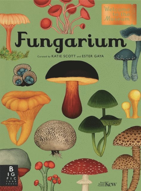 Royal Botanic Gardens Kew PLG, Ester Gaya - Fungarium, E-bok