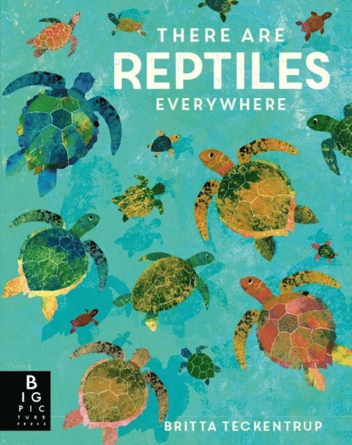 Camilla De La Bedoyere - There are Reptiles Everywhere, E-bok