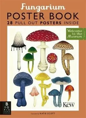 Ester Gaya - Fungarium Poster Book, Häftad