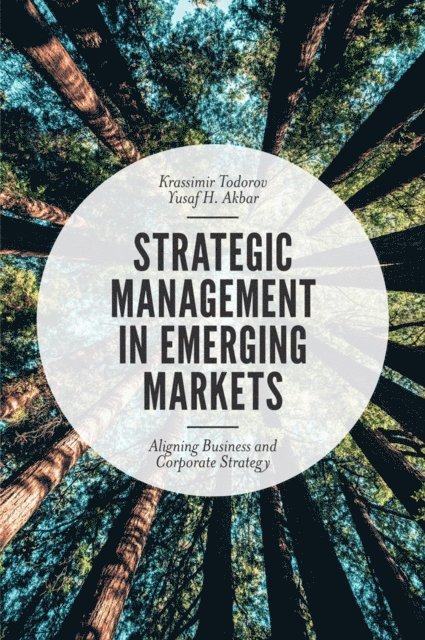 Yusaf H. Akbar, Krassimir Todorov - Strategic Management in Emerging Markets, E-bok