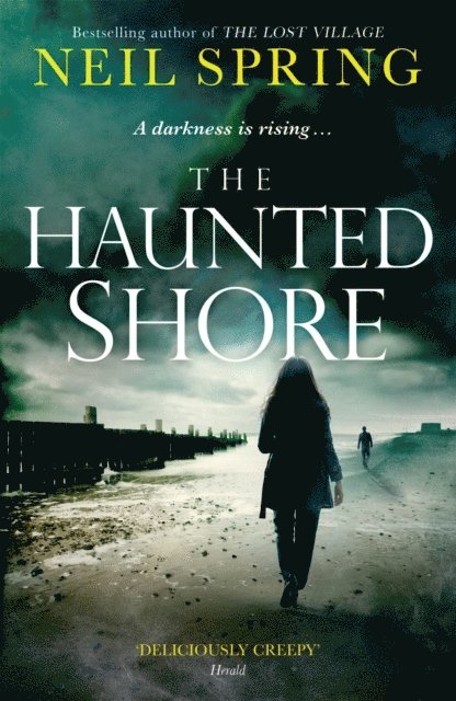 Neil Spring - Haunted Shore, E-bok