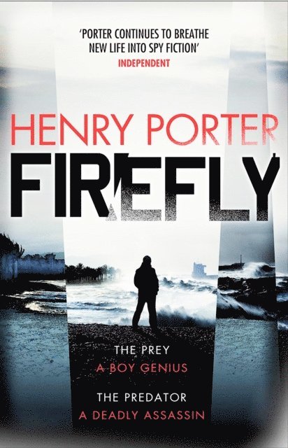 Henry Porter - Firefly, E-bok