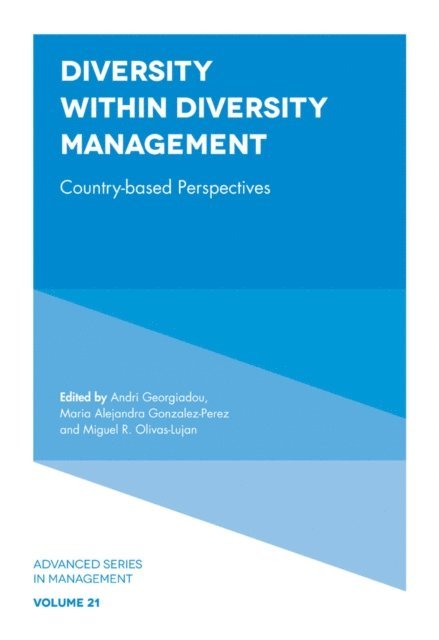 Miguel R. Olivas-Lujan, Maria Alejandra Gonzalez-Perez, Andri Georgiadou - Diversity within Diversity Management, E-bok
