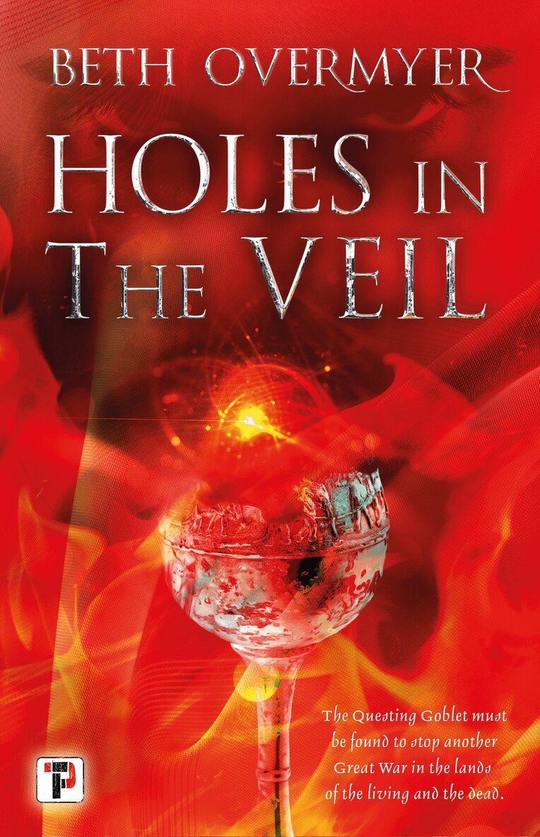 Beth Overmyer - Holes in the Veil, Häftad