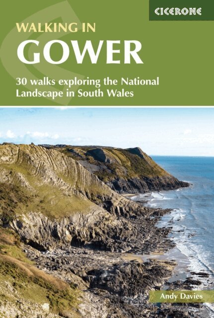 Andy Davies - Walking in Gower, E-bok
