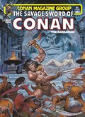 Savage Sword Of Conan: The Original Comics Omnibus