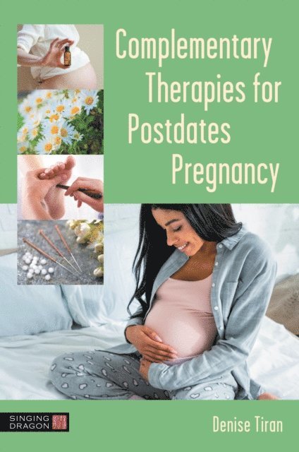Denise Tiran - Complementary Therapies for Postdates Pregnancy, E-bok
