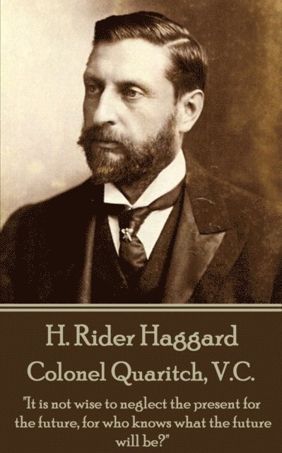 H. Rider Haggard - Colonel Quaritch, V.C., E-bok