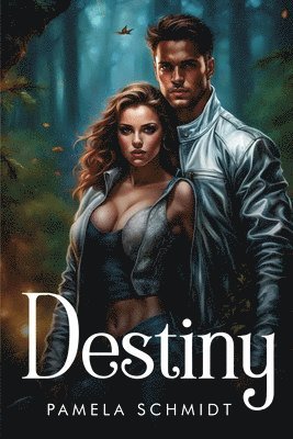 Pamela Schmidt - Destiny, Häftad