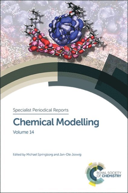 Jan-Ole Joswig, Michael Springborg - Chemical Modelling, E-bok