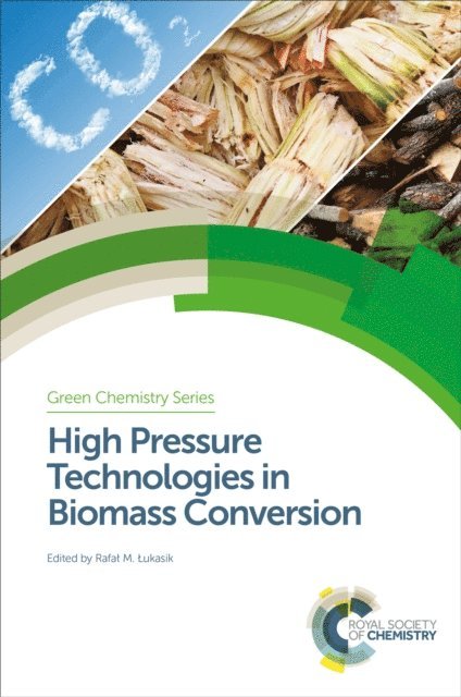 Rafal M Lukasik - High Pressure Technologies in Biomass Conversion, E-bok