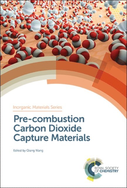 Qiang Wang - Pre-combustion Carbon Dioxide Capture Materials, E-bok