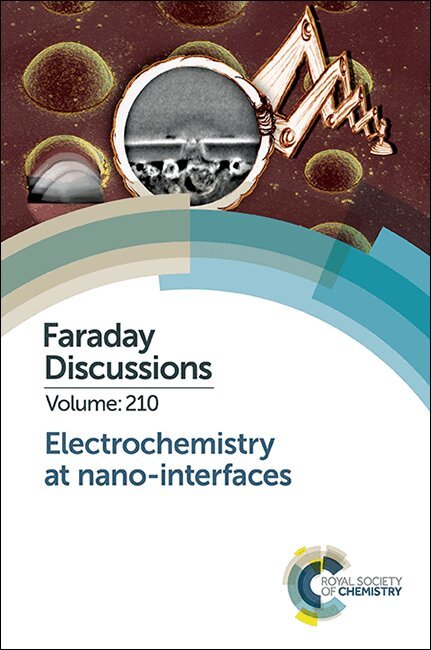 Electrochemistry at Nano-interfaces, Inbunden