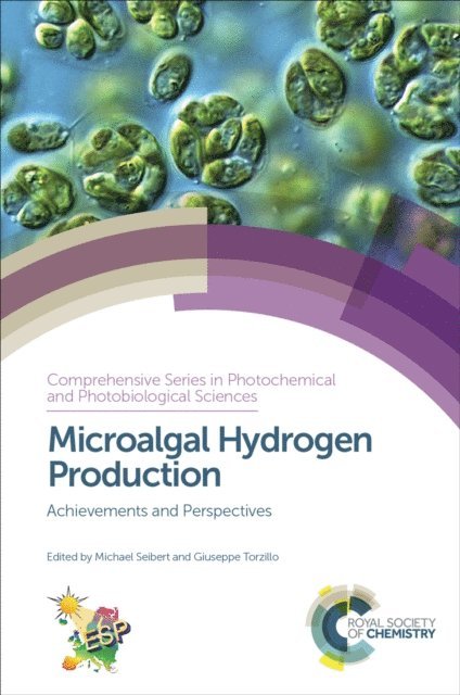 Giuseppe Torzillo, Michael Seibert - Microalgal Hydrogen Production, E-bok