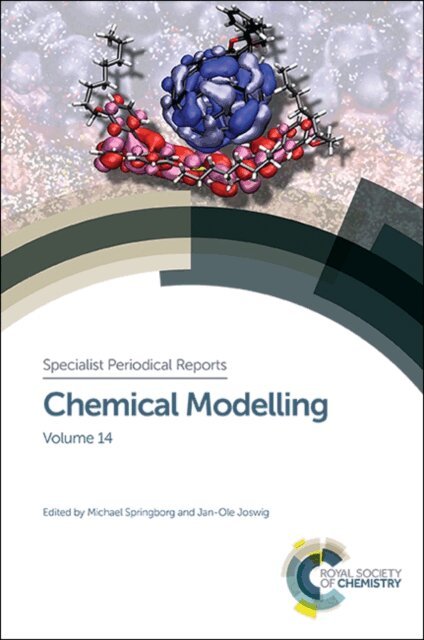 Jan-Ole Joswig, Michael Springborg - Chemical Modelling, E-bok